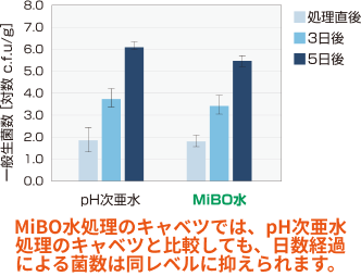 MiBO水処理のキャベツでは、pH次亜水処理のキャベツと比較しても、日数経過による菌数は同レベルに抑えられます。