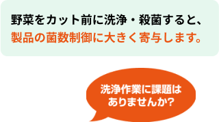 カット前の野菜（ホール野菜）の洗浄・殺菌 01